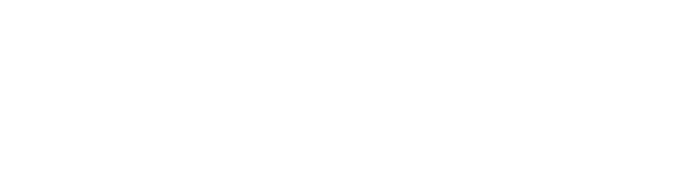 Steam